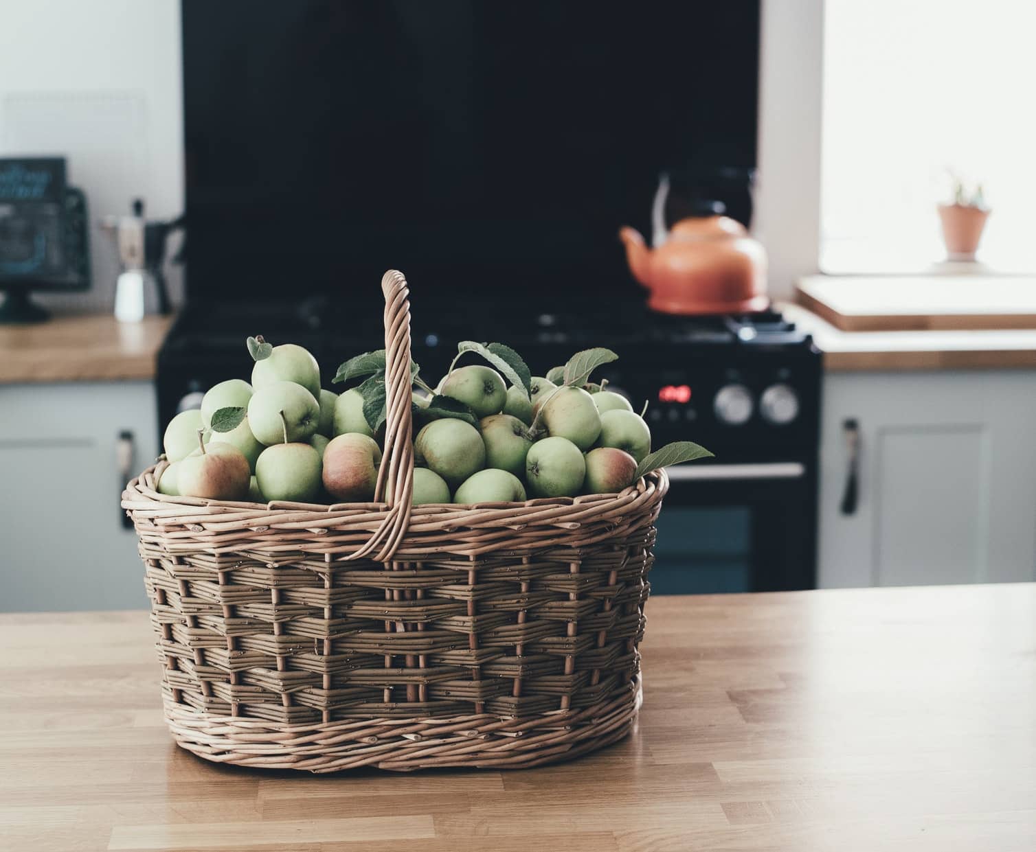 Green Living is a things